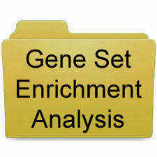 GeM Euro 9K Gene Set Enrichment Analysis